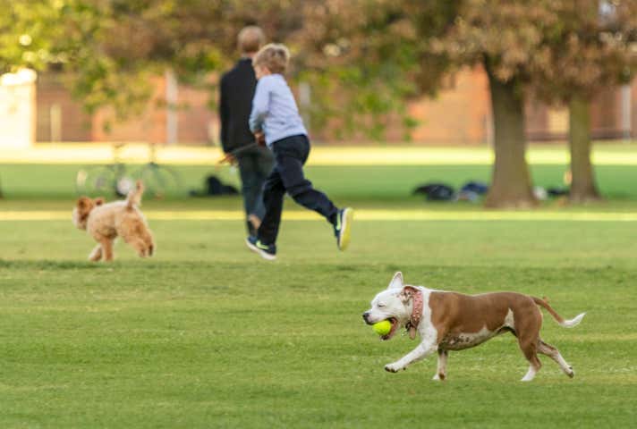 209 Toorak Road South Yarra VIC 3141 - Image 11