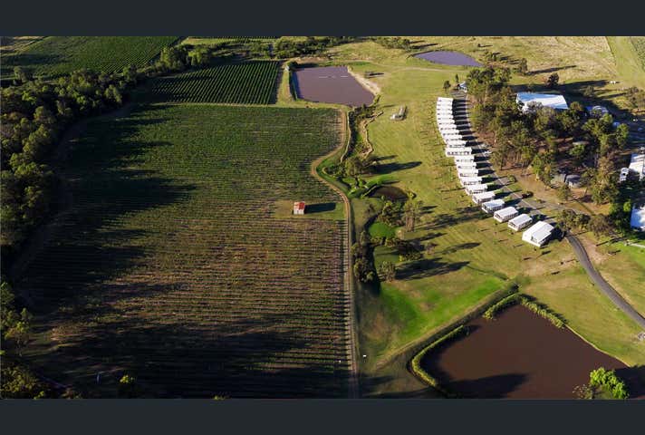 1693 Broke Road Pokolbin NSW 2320 - Image 6