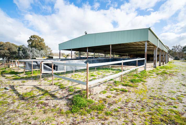 46 Racecourse Road Thurgoona NSW 2640 - Image 11