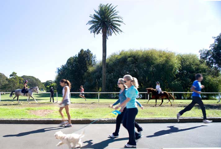 28 Judge Street Randwick NSW 2031 - Image 14