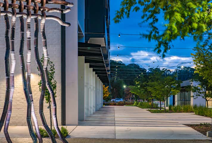 Alexander & Albemarle, 35 & 45 Furzer Street Phillip ACT 2606 - Image 6