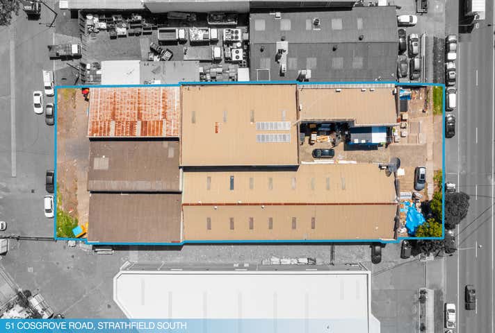 51 Cosgrove Road Strathfield South NSW 2136 - Image 3