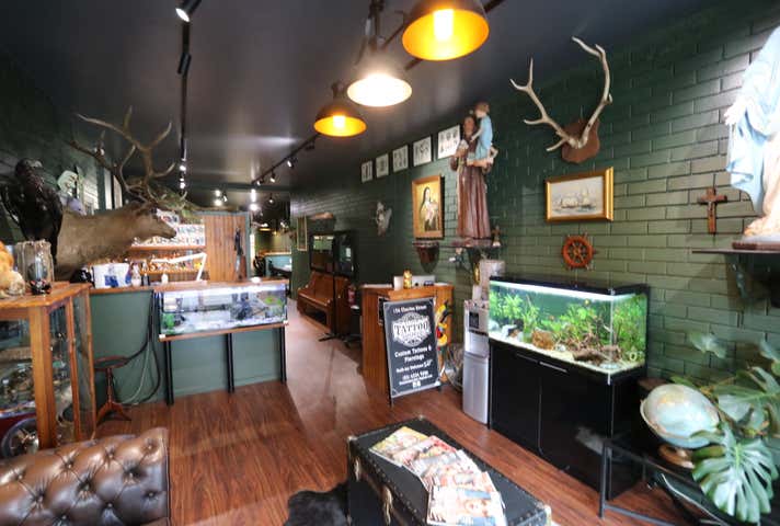 156 Charles Street Launceston TAS 7250 - Image 5