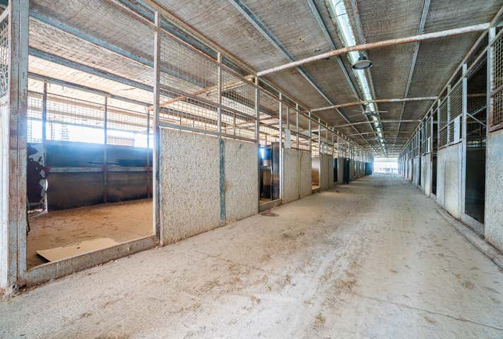 46 Racecourse Road Thurgoona NSW 2640 - Image 7