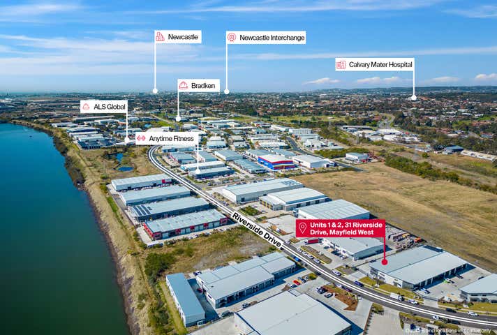 31 Riverside Drive Mayfield West NSW 2304 - Image 1