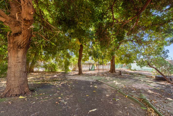 24 McDaniel Road Minyirr WA 6725 - Image 23