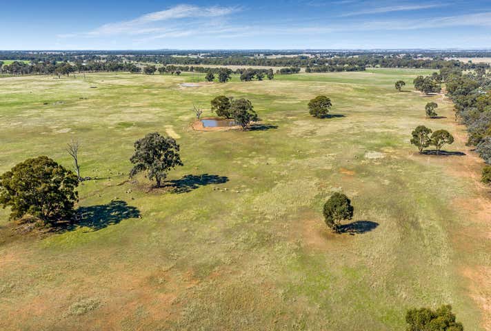 Corner Tysons & Pethericks Road Goornong VIC 3557 - Image 11