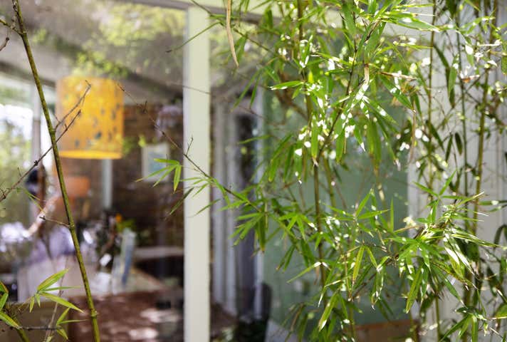 1 Arundel Street Glebe NSW 2037 - Image 17