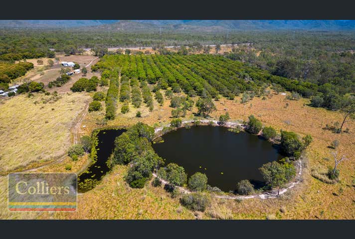 42668 Bruce Highway Clemant QLD 4816 - Image 16