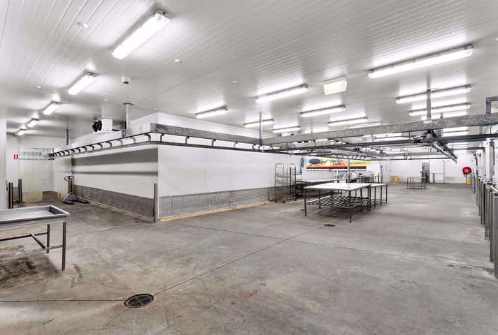 107 High Street Belmont VIC 3216 - Image 6