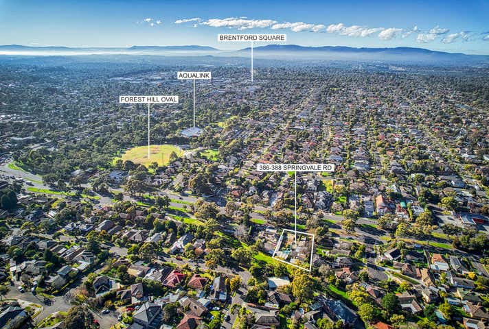 386-388 Springvale Road Forest Hill VIC 3131 - Image 6