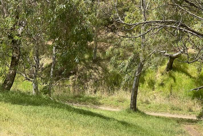 375 Rossmoyne Street Thornbury VIC 3071 - Image 9