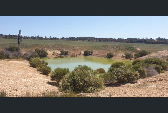 38 Avoca Road Morbinning WA 6304 - Image 8