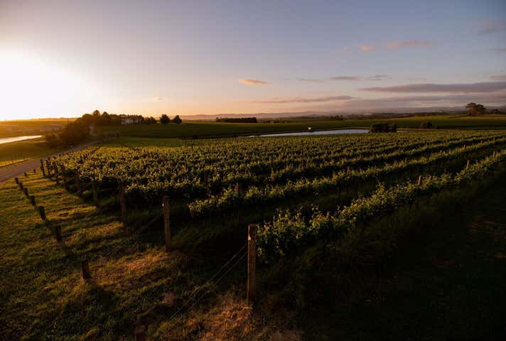 6 Maddens Lane Coldstream VIC 3770 - Image 20