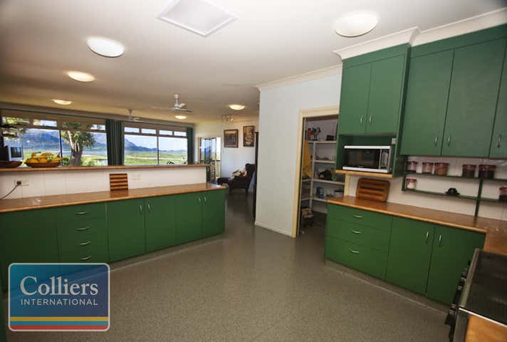 Former "Casual Cassowary Devonshire Tea House", *, 51531 Bruce Highway Rungoo QLD 4849 - Image 8