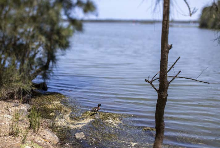 10A Ocean Street Budgewoi NSW 2262 - Image 26