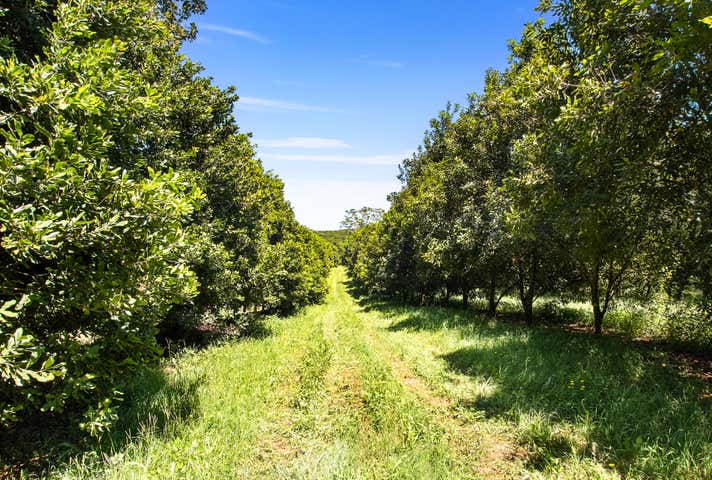 Paradise, 384 Eureka Road Eureka NSW 2480 - Image 6