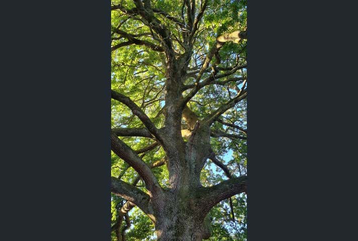 694-696 Mount Macedon Road Mount Macedon VIC 3441 - Image 15