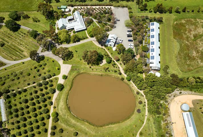 4277-4285 Cape Otway Road Birregurra VIC 3242 - Image 7