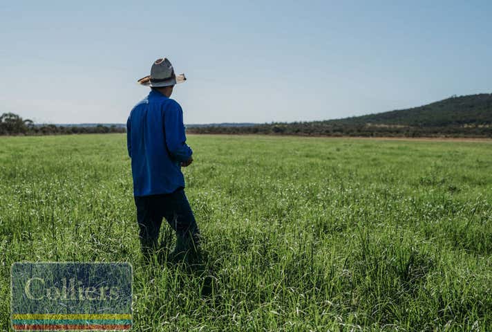 333 Expressman Road Hughenden QLD 4821 - Image 23