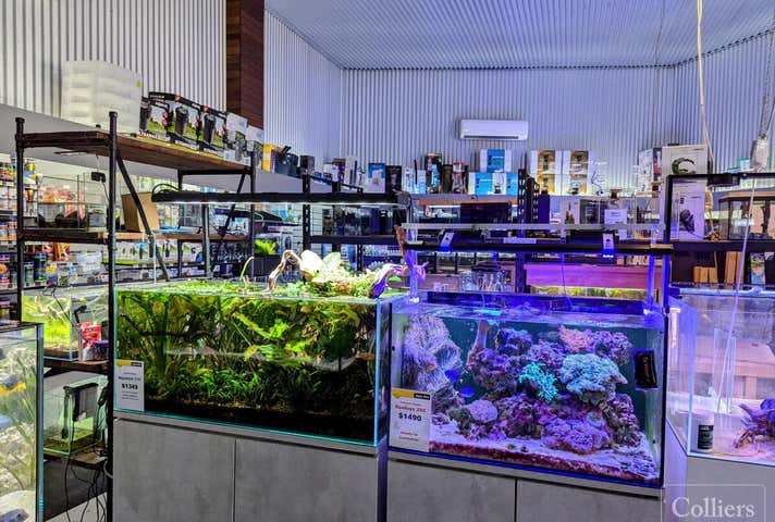 158-162 Duckworth Street Garbutt QLD 4814 - Image 25