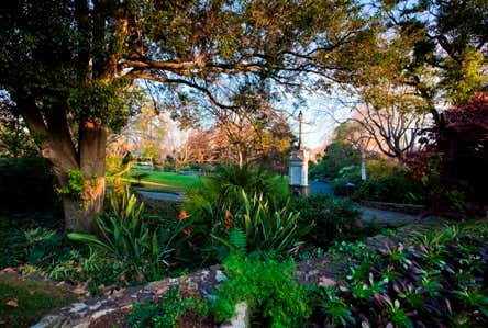 Level 1, 251 High Street Kew VIC 3101 - Image 5