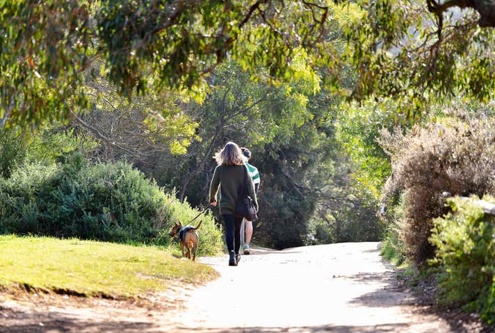 Office 4, 4-6 Gilbert Street Torquay VIC 3228 - Image 7