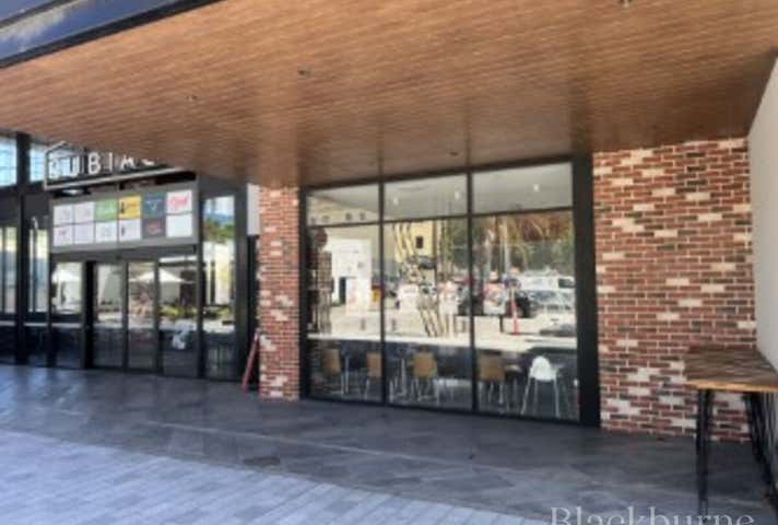 4C Seddon Street Subiaco WA 6008 - Image 5