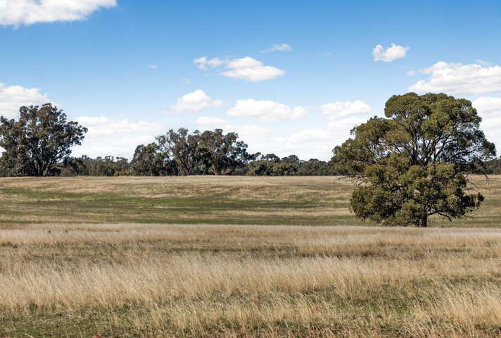 Corner Tysons & Pethericks Road Goornong VIC 3557 - Image 7
