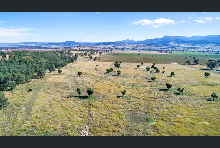 1148 Manilla Road Hallsville NSW 2340 - Image 11