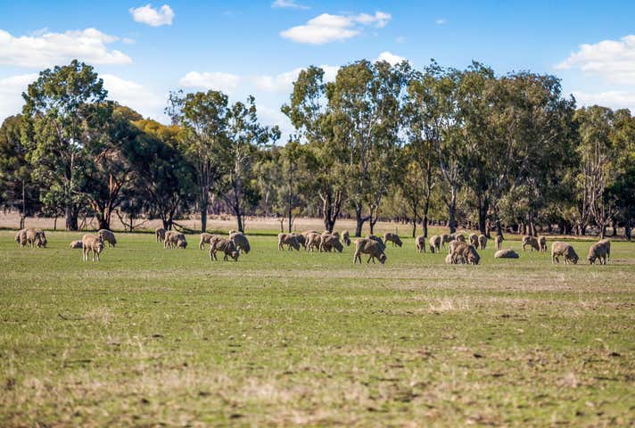 Corner Tysons & Pethericks Road Goornong VIC 3557 - Image 8