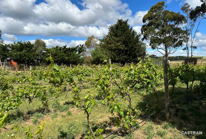 3454 Midland Highway 'Swiss Mountain Hotel' Blampied VIC 3364 - Image 19