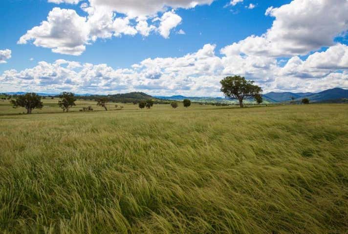 Lots 52, 165 & 166 Browns Lane Tamworth NSW 2340 - Image 8