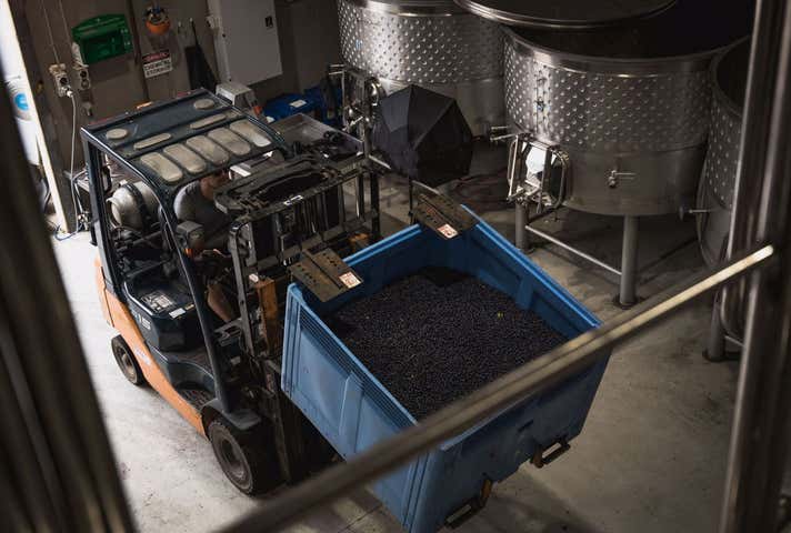 6 Maddens Lane Coldstream VIC 3770 - Image 14