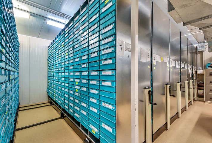 The Herbarium, 4 Mansfield Street Palmerston City NT 0830 - Image 3