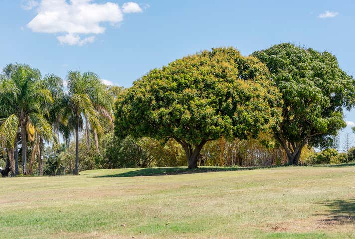 234 Innes Park Road Innes Park QLD 4670 - Image 17