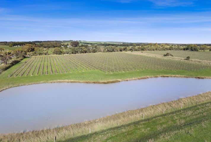 880 Winchelsea-Deans Marsh Road Winchelsea South VIC 3241 - Image 3