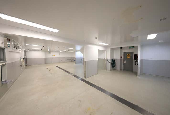 59 Dutton Street Portsmith QLD 4870 - Image 16