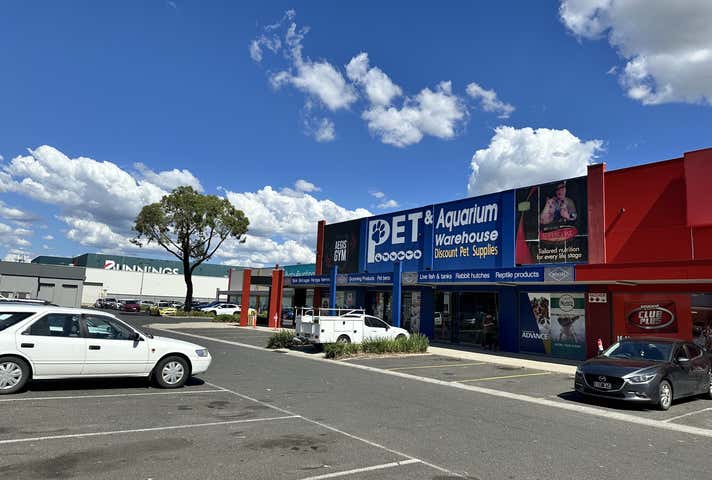 Showrooms Large Format Retail Property For Lease in Hamilton and