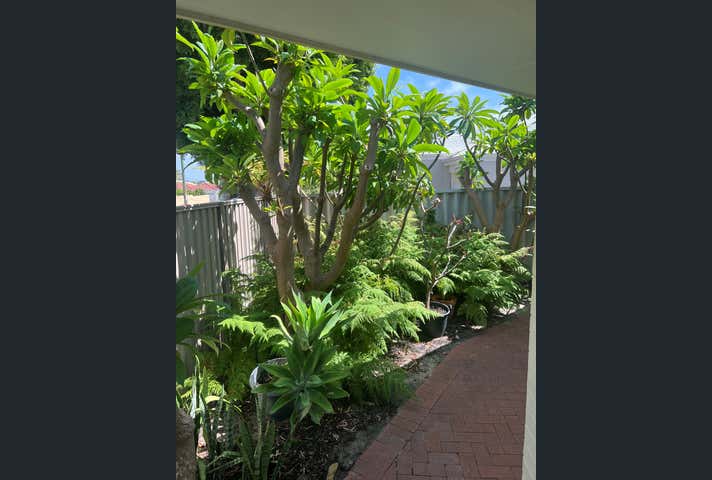 181 Hutton Street Osborne Park WA 6017 - Image 15