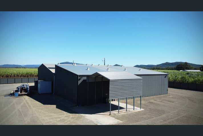 786 Rocky Waterholes Wollingford Road Pleystowe QLD 4741 - Image 9