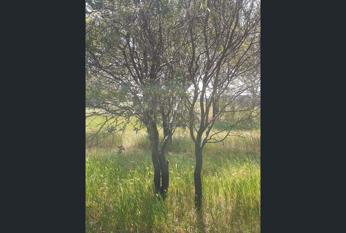 38 Avoca Road Morbinning WA 6304 - Image 12