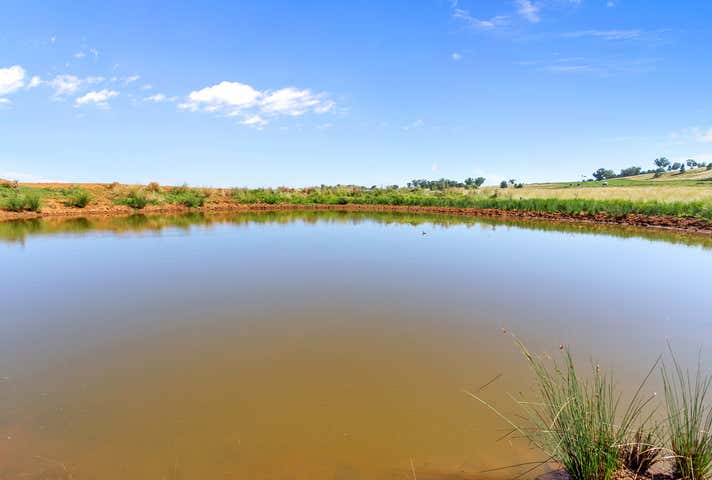 1148 Manilla Road Hallsville NSW 2340 - Image 6