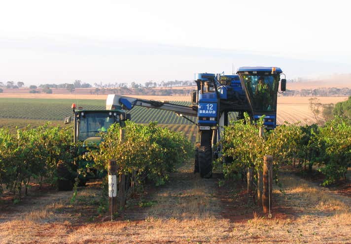 Sold Commercial Farming & Rural Property in Corop, VIC 3559 ...