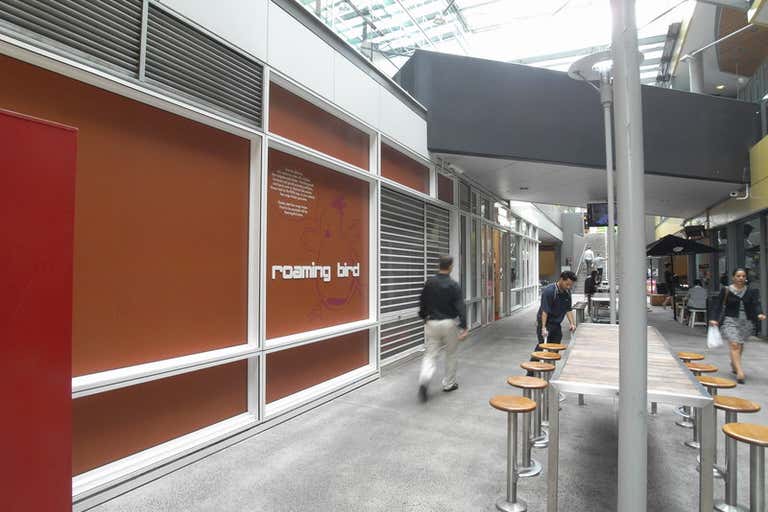 60 Union Street Pyrmont NSW 2009 - Image 3