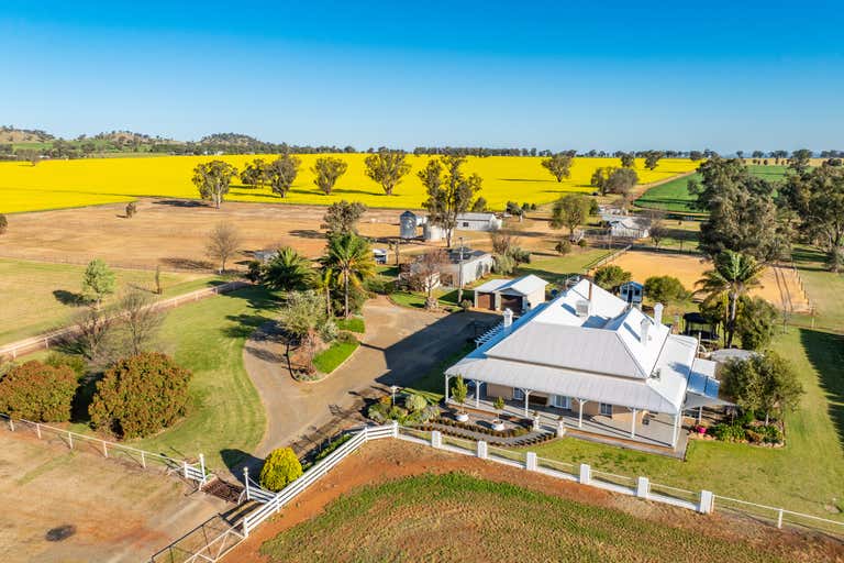 'The Ranch', 739 Rivers Road Canowindra NSW 2804 - Image 1