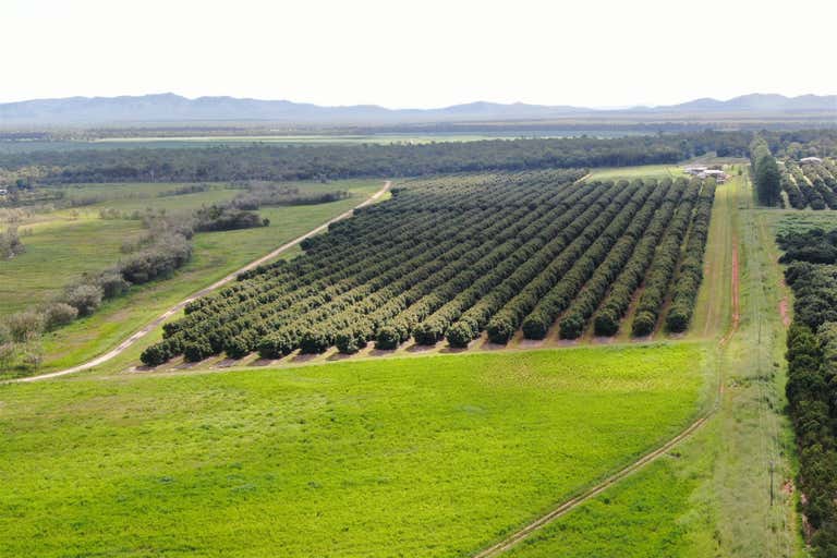 Arriga QLD 4880 - Image 3