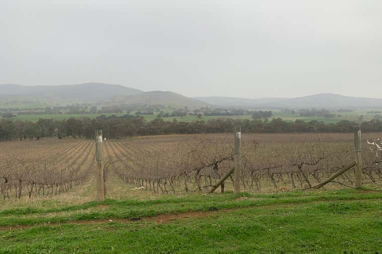 Nowhere Creeek Vineyard, 0 Pyrenees Highway Elmhurst VIC 3469 - Image 1