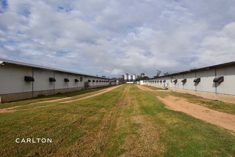 Established 8 Vented Shed Broiler Farm with DA Approval to Expand - Image 3