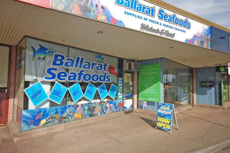 5 Eastwood Street Ballarat Central VIC 3350 - Image 3